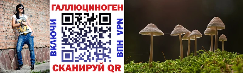Псилоцибиновые грибы ЛСД  Саяногорск 